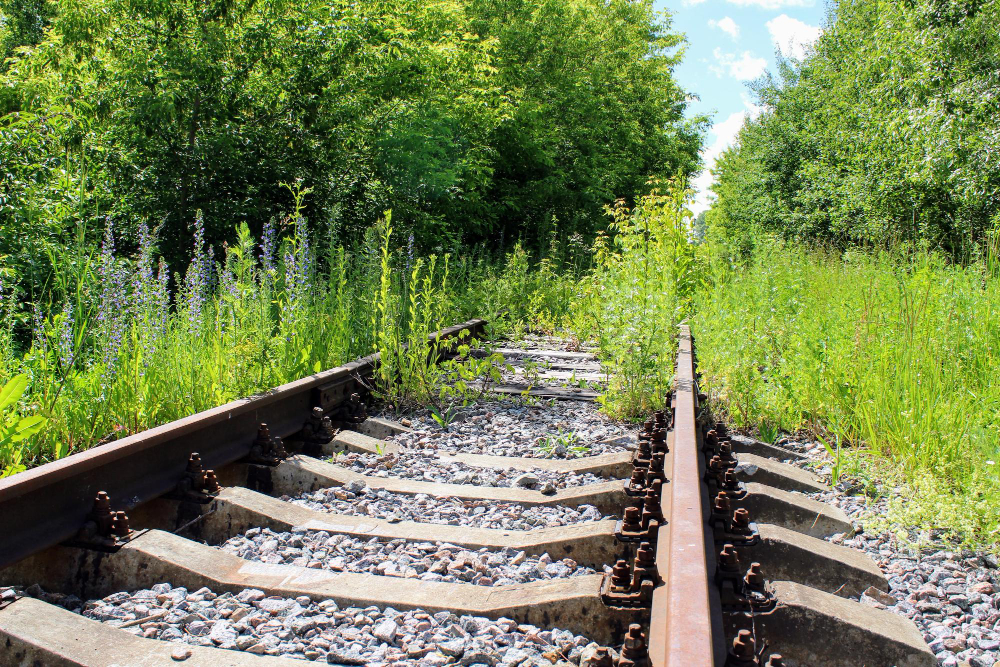 Vegetationspflege Berlingleis