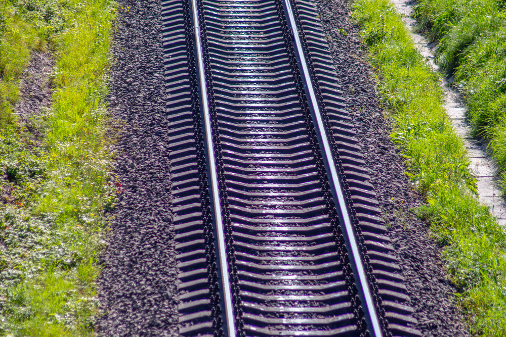 berlingleis-Vegetationspflege 